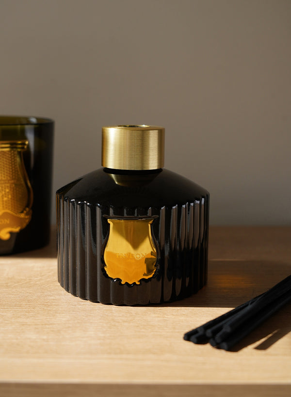 Trudon - The Diffuser - Ernesto 350ml - Lifestyle 