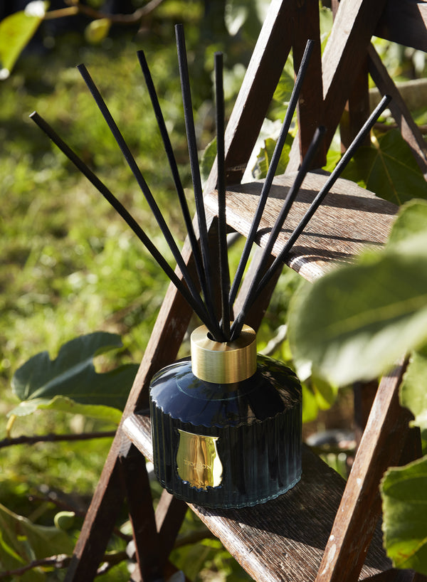 Trudon - The Diffuser - Figuerie 350ml - Lifestyle 