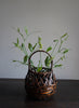 VINTAGE JAPANESE HANDWOVEN BAMBOO BASKET IV - Lifestyle 