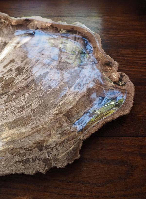 Large Petrified Teak Plate II